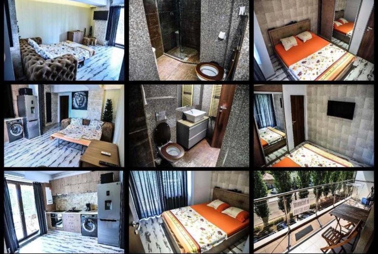 Wild Africa Apartament Mamaia Kültér fotó